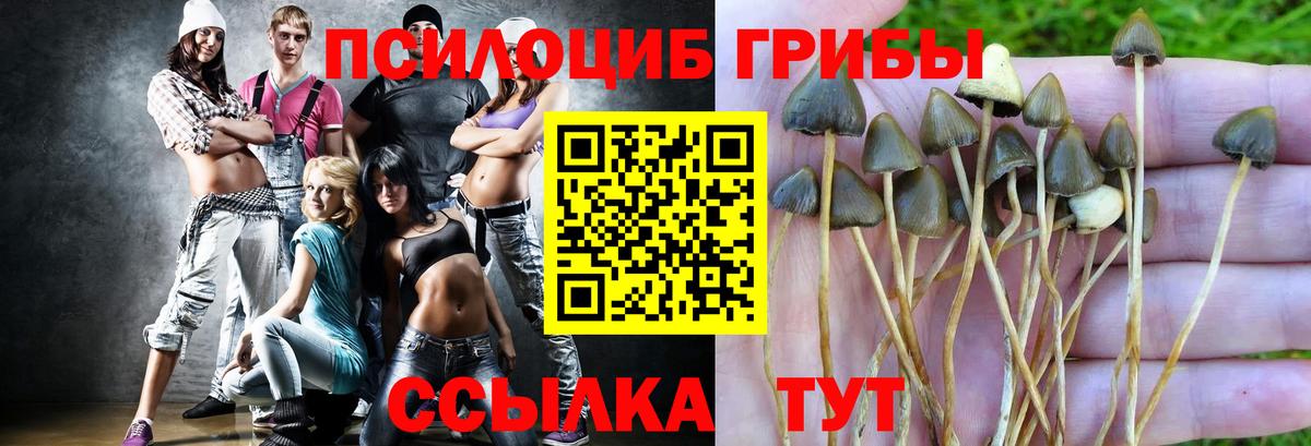 купить наркотик  Псилоцибиновые грибы ЛСД  Вход с VPN  Мариинск  Галлюциногенные грибы Psilocybe 